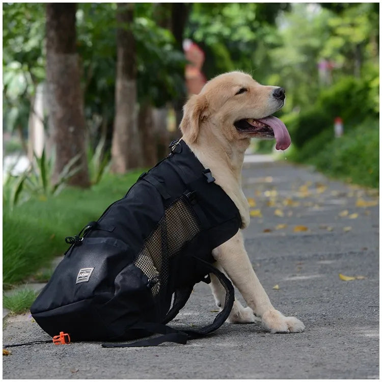 Mochila de transporte para perros, senderismo, viajes al aire libre, transpirable, para bicicleta, motocicleta, deporte al aire libre, bolsa de malla, envío directo
