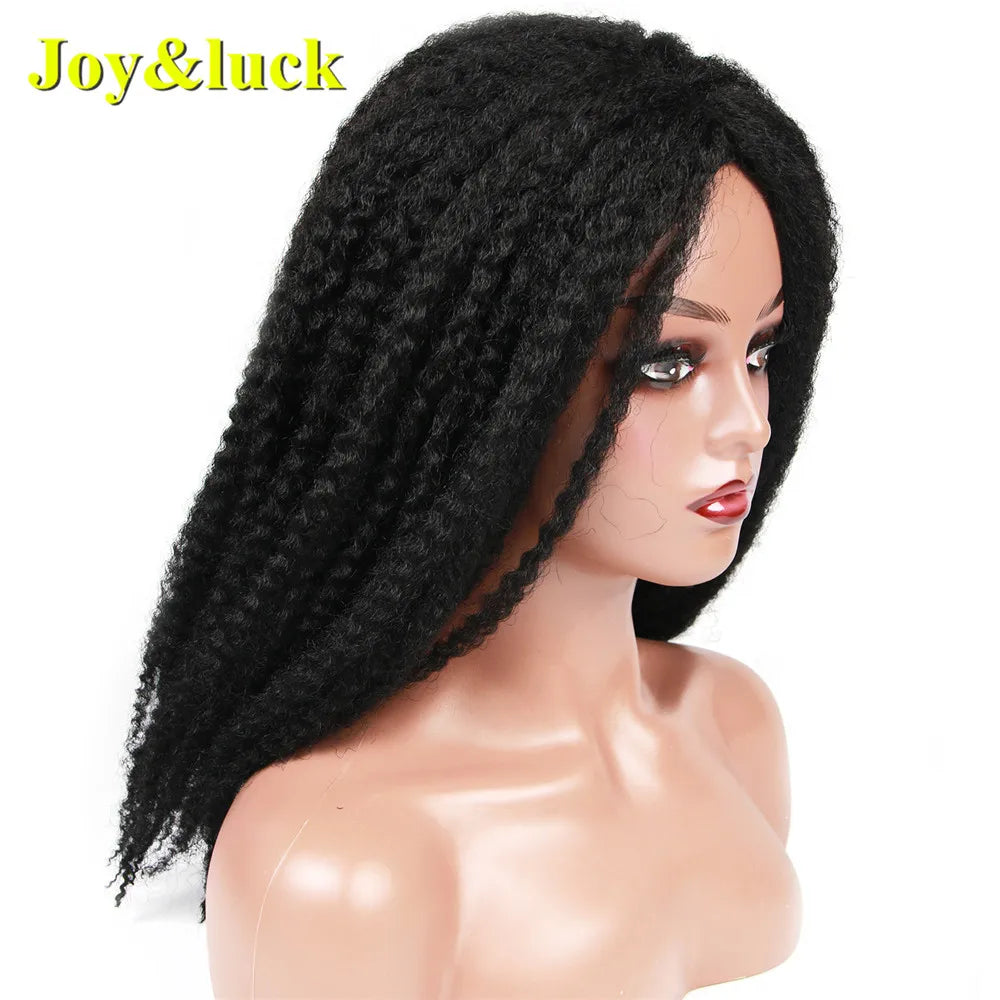 Long Braided Synthetic Medium Afro Curly Black Wig Role Play or Daily Use Hairstyles