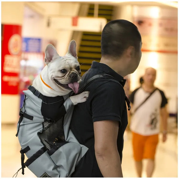 Mochila de transporte para perros, senderismo, viajes al aire libre, transpirable, para bicicleta, motocicleta, deporte al aire libre, bolsa de malla, envío directo