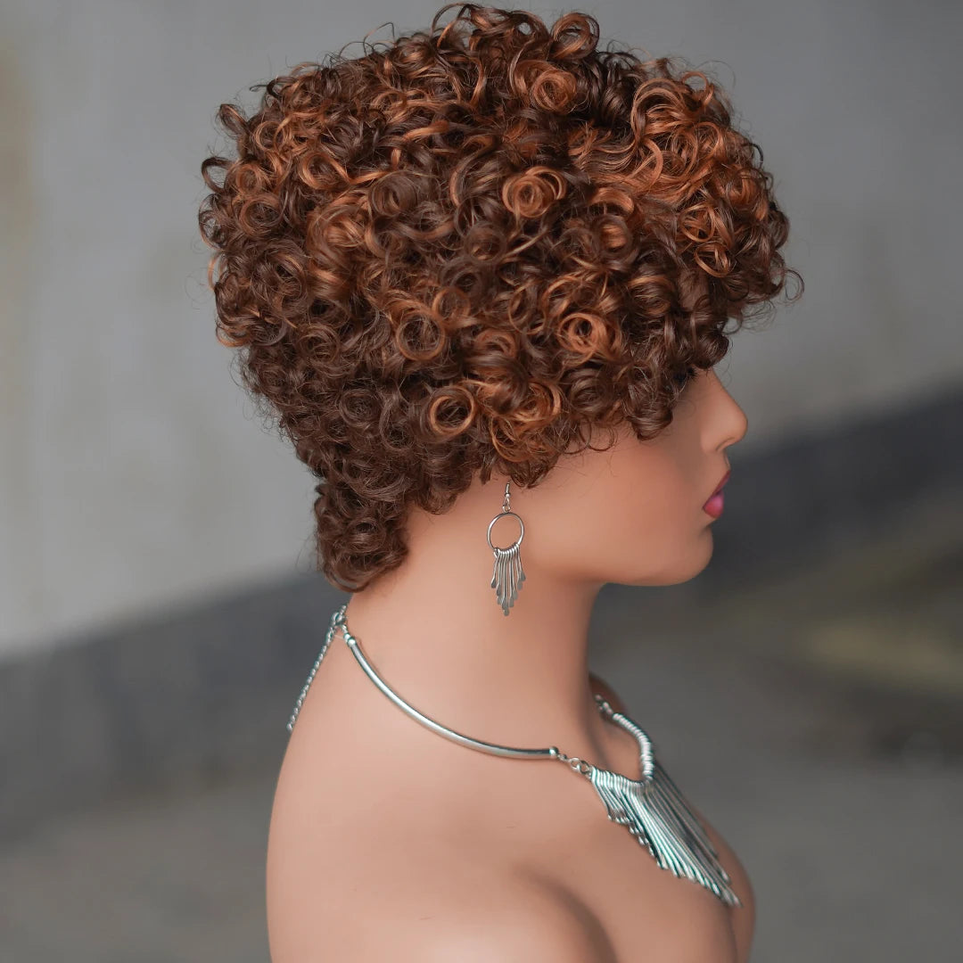 Short Curly Human Hair Wig