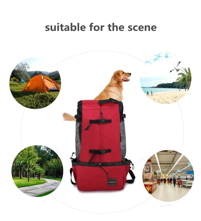 Bolsa transportadora transpirable para perros, mochila portátil para viajes al aire libre, transportadores reflectantes para gatos, accesorios para perros Bulldog Francés