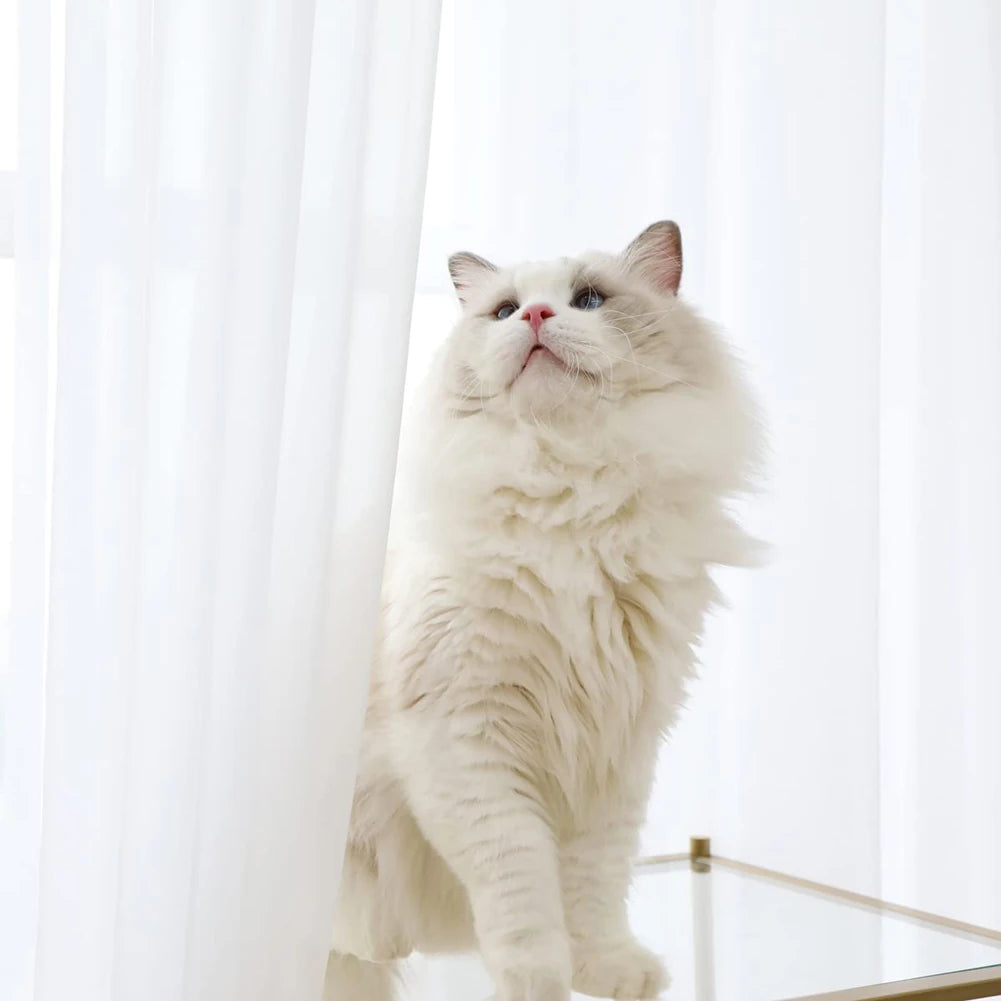 Sheer Curtains for Bedroom Windows Casual Solid White Yarn Tulle Curtain for Nursery/Living Room Kitchen Window Treatments