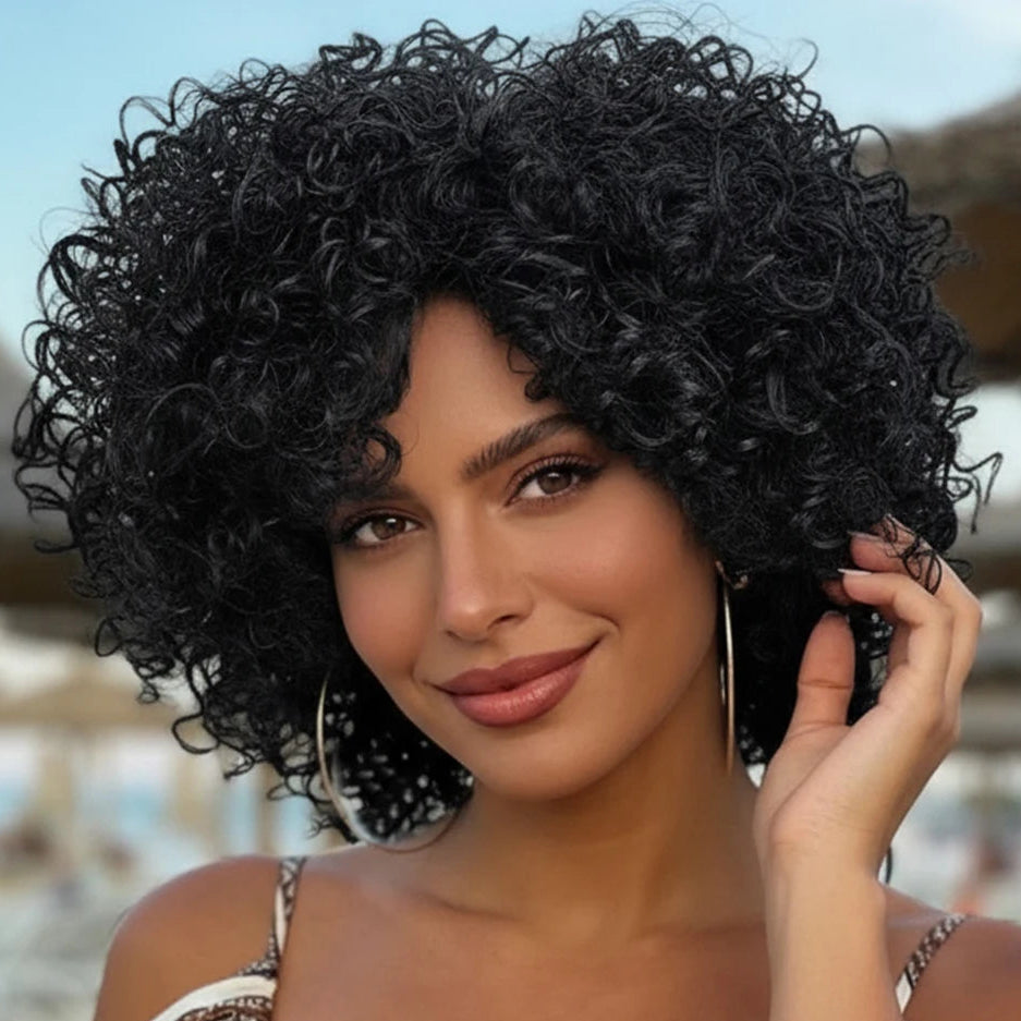 Kinky Curly Afro Wig
