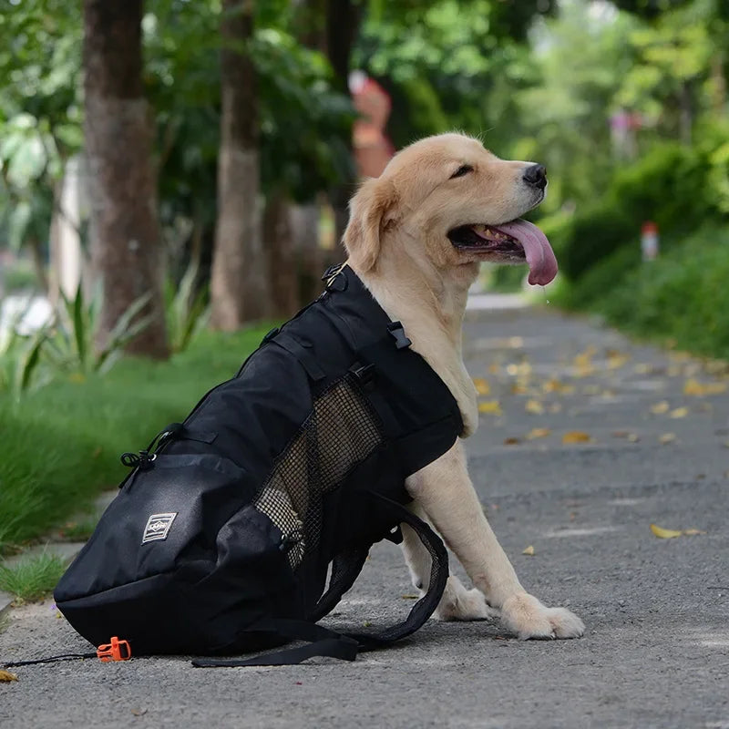 Bolsa transportadora transpirable para perros, mochila portátil para viajes al aire libre, transportadores reflectantes para gatos, accesorios para perros Bulldog Francés
