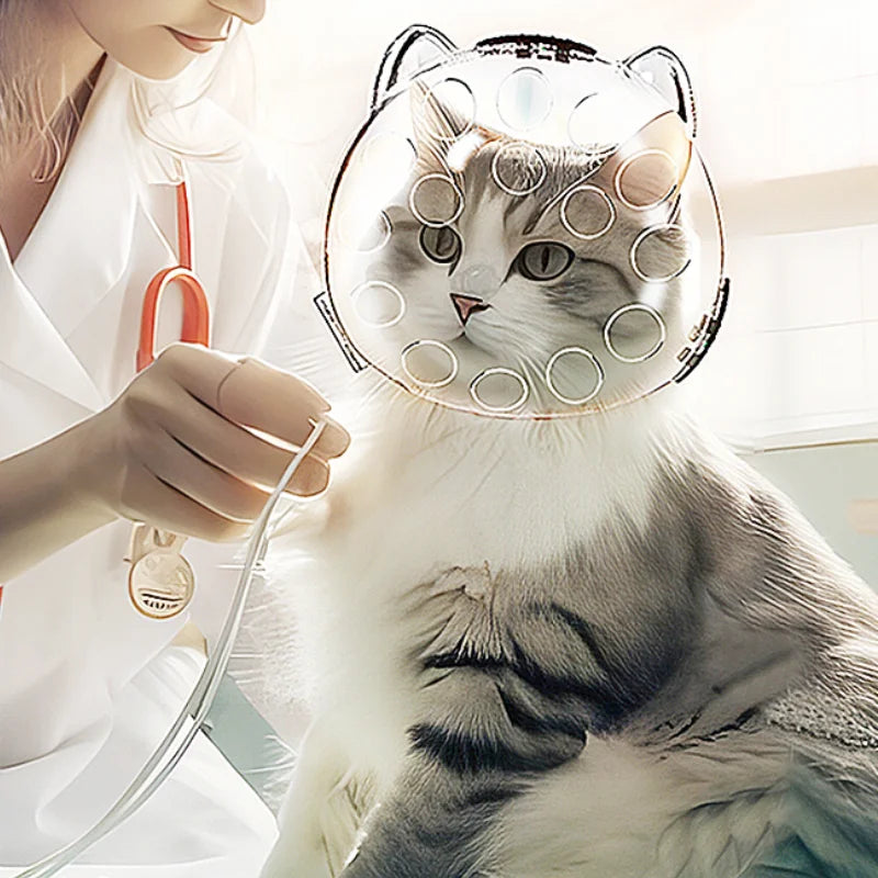 Kattehodetrekk Bærbart Gjennomsiktig Forhindrer Biting og Kloring Pustende Sikker Reise Kattebæreveske Katter Kjæledyrprodukter