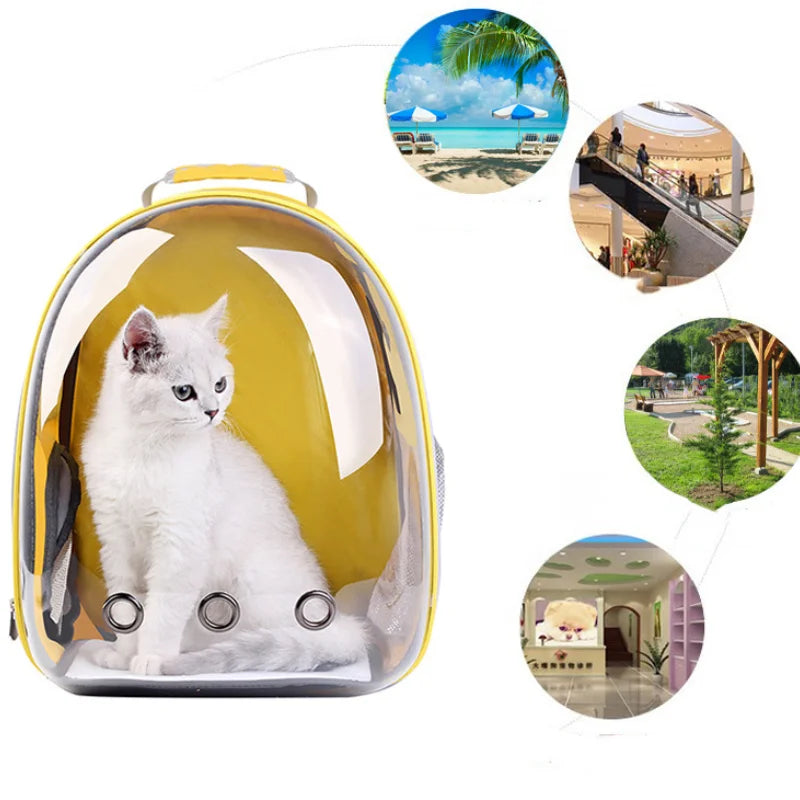Le fabricant fournit directement des sacs pour chats, des sacs à dos pour animaux de compagnie, des capsules spatiales portables et transparentes, des fournitures pour chats, des sacs à dos respirants