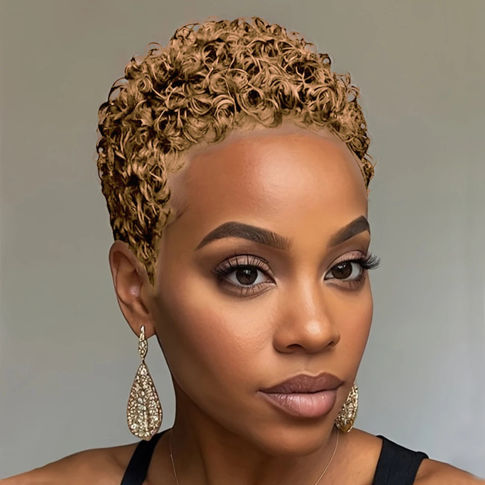 Short Afro Curly Human Hair Wig