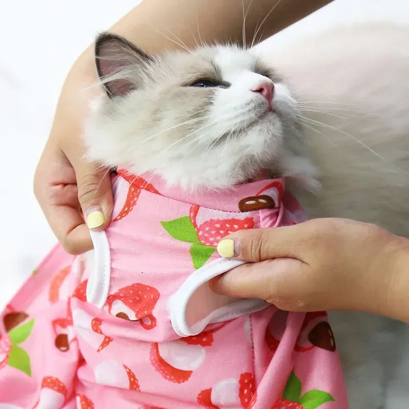 Vêtements de sevrage et de stérilisation pour chats de compagnie, gilet anti-léchage pour petits chiens et chatons, vêtements de récupération après chirurgie féline pour plaies ou maladies cutanées
