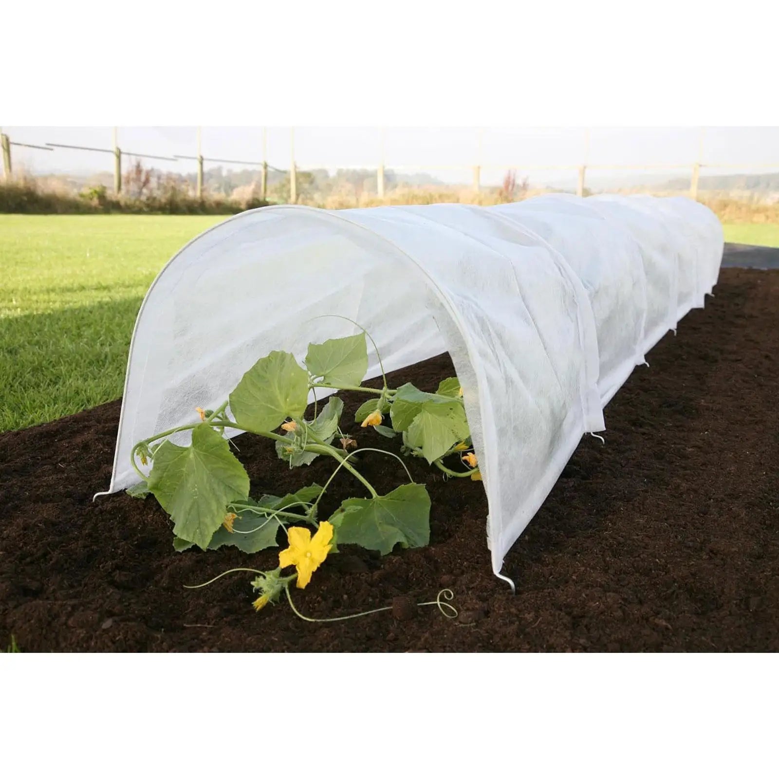 Mini Greenhouse Tunnel Garden Cloche Tunnel Cover Versatile Green Houses Hoop Plant Cover for Gardening Fruit Outside Flowers