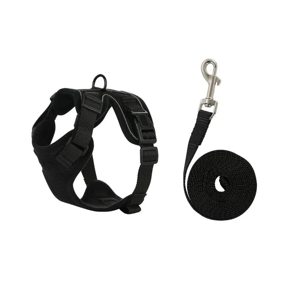 Ensemble harnais et laisse pour chat - Gilet réglable anti-fuite, doux et sécurisé pour la marche, équipement de sécurité pour animaux de compagnie facile à contrôler