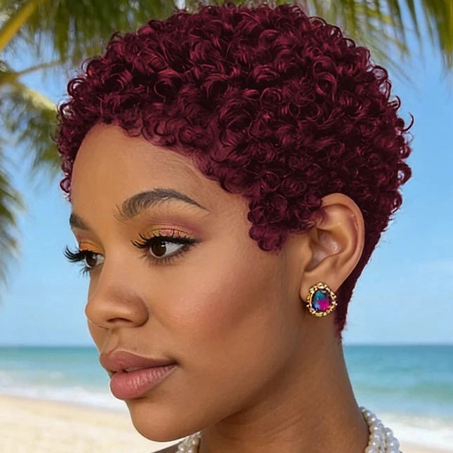 Afro Curly Pixie Wig
