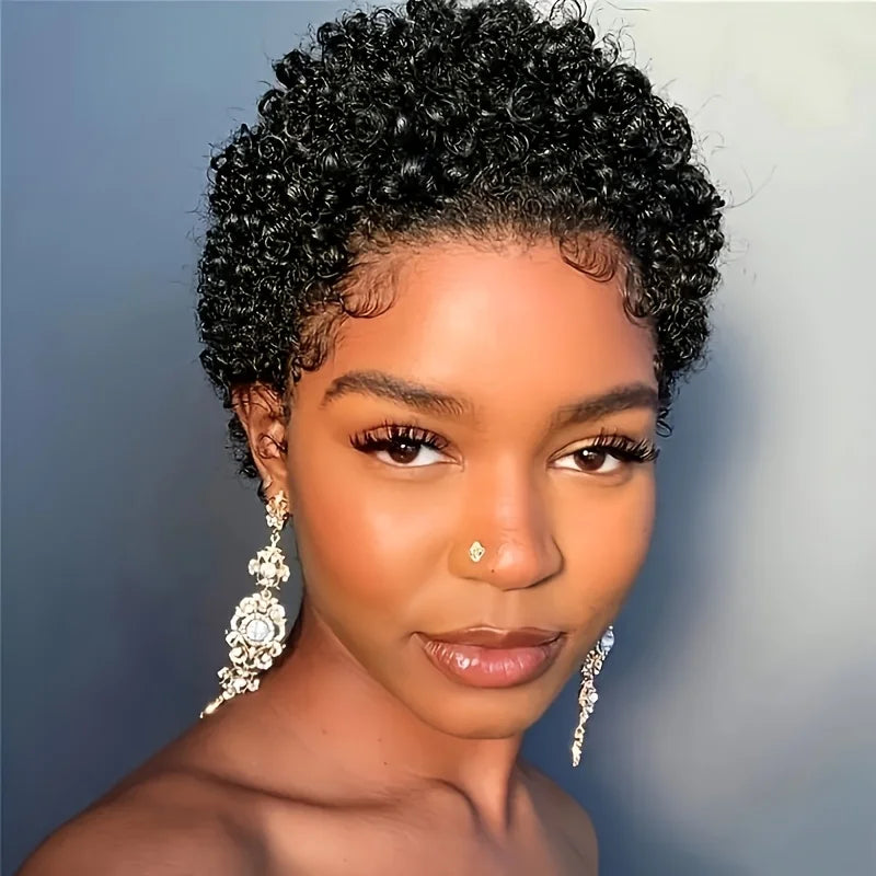 Short Afro Curly Human Hair Wig
