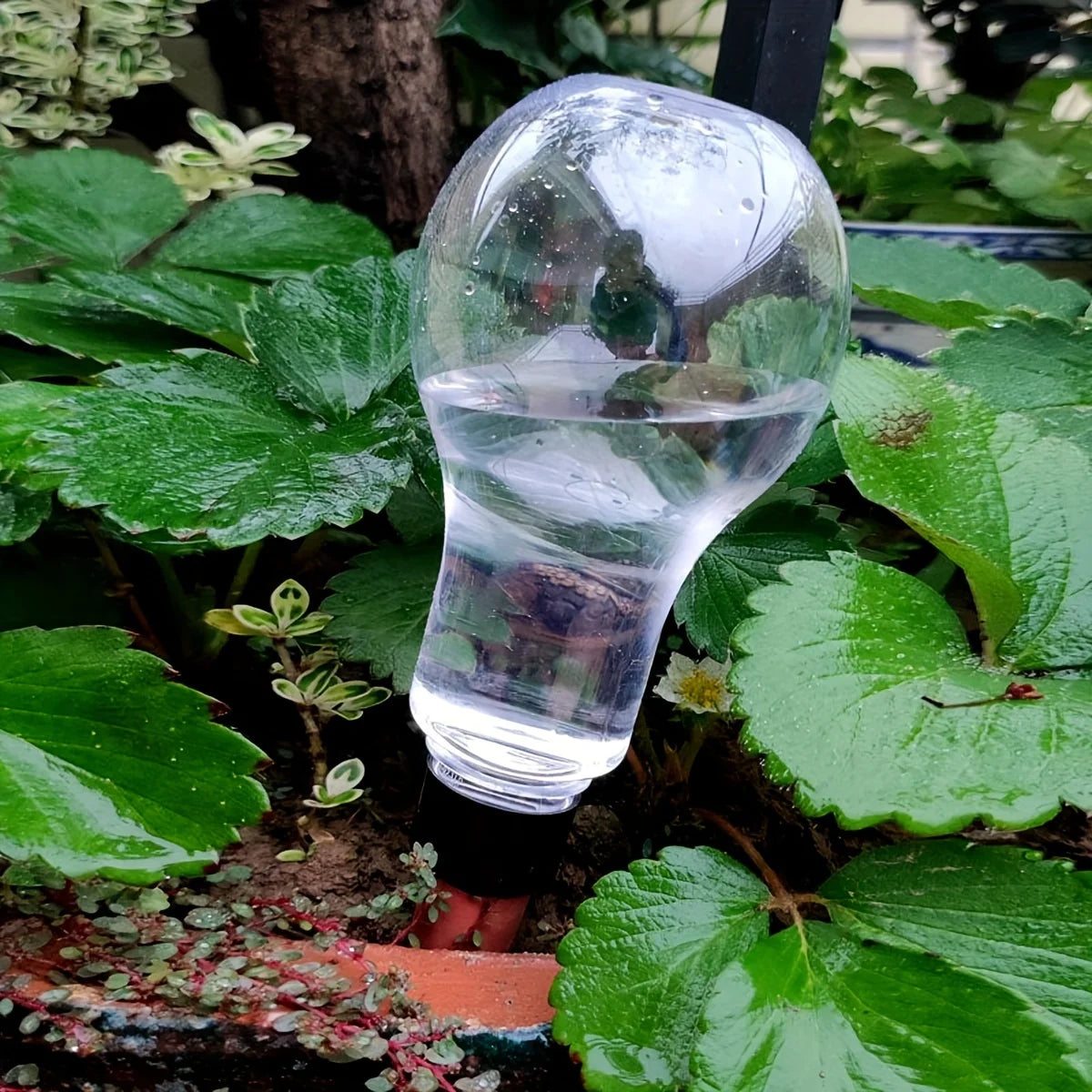 Garden Automatic Watering Tool Indoor Drip Irrigation Watering Device For Houseplant Indoor Household Lazy People Water Flowers