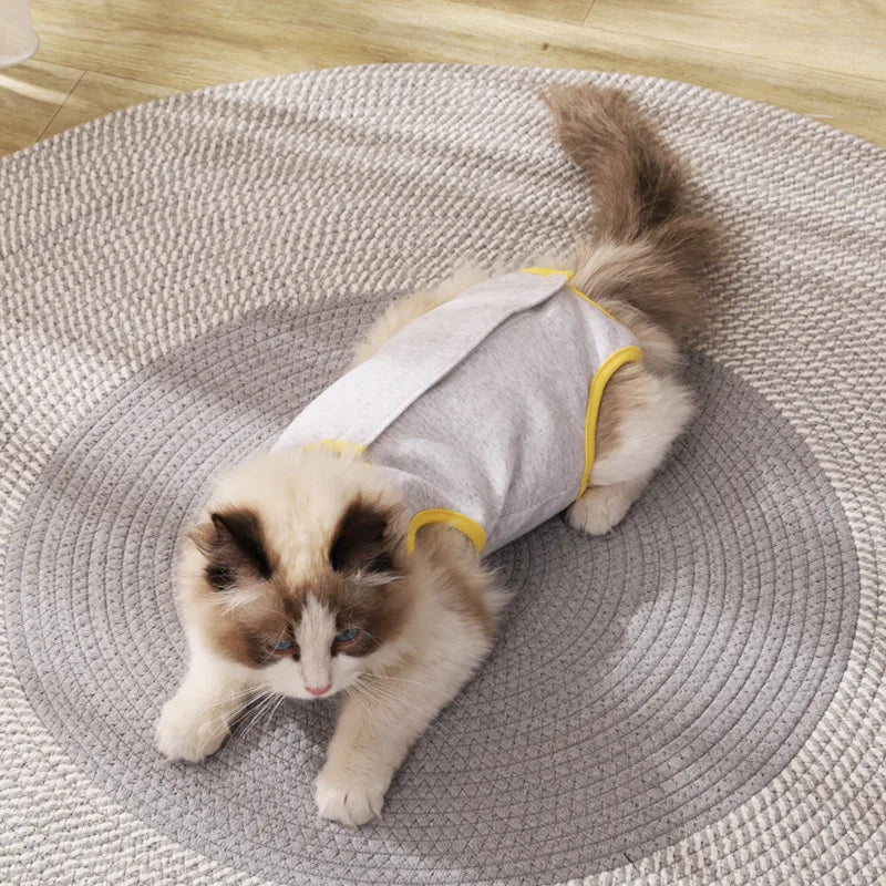 Combinaison de convalescence pour chaton, gilet anti-léchage pour animal de compagnie, vêtements de convalescence pour chirurgie, combinaison respirante pour soins pour animaux de compagnie, fournitures pour chiens