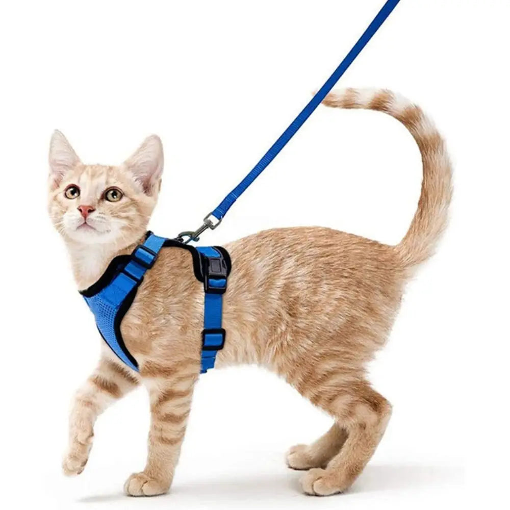 Ensemble harnais et laisse pour chat - Gilet réglable anti-fuite, doux et sécurisé pour la marche, équipement de sécurité pour animaux de compagnie facile à contrôler