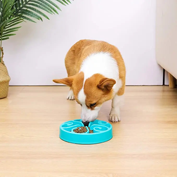 Comedero Lento para Perros, Divertido, Antideslizante, Anti-Glotón, Comederos Más Lentos, Cuenco Ecológico para Perros Grandes, Medianos, Pequeños y Cachorros
