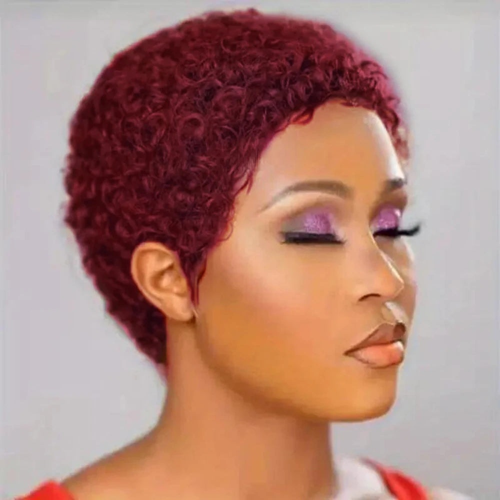 Pixie Cut Kinky Curly Wig-Natural Black 99J 30# 27# Brazilian Human Hair, 150% Density for Everyday Machine Made Wig