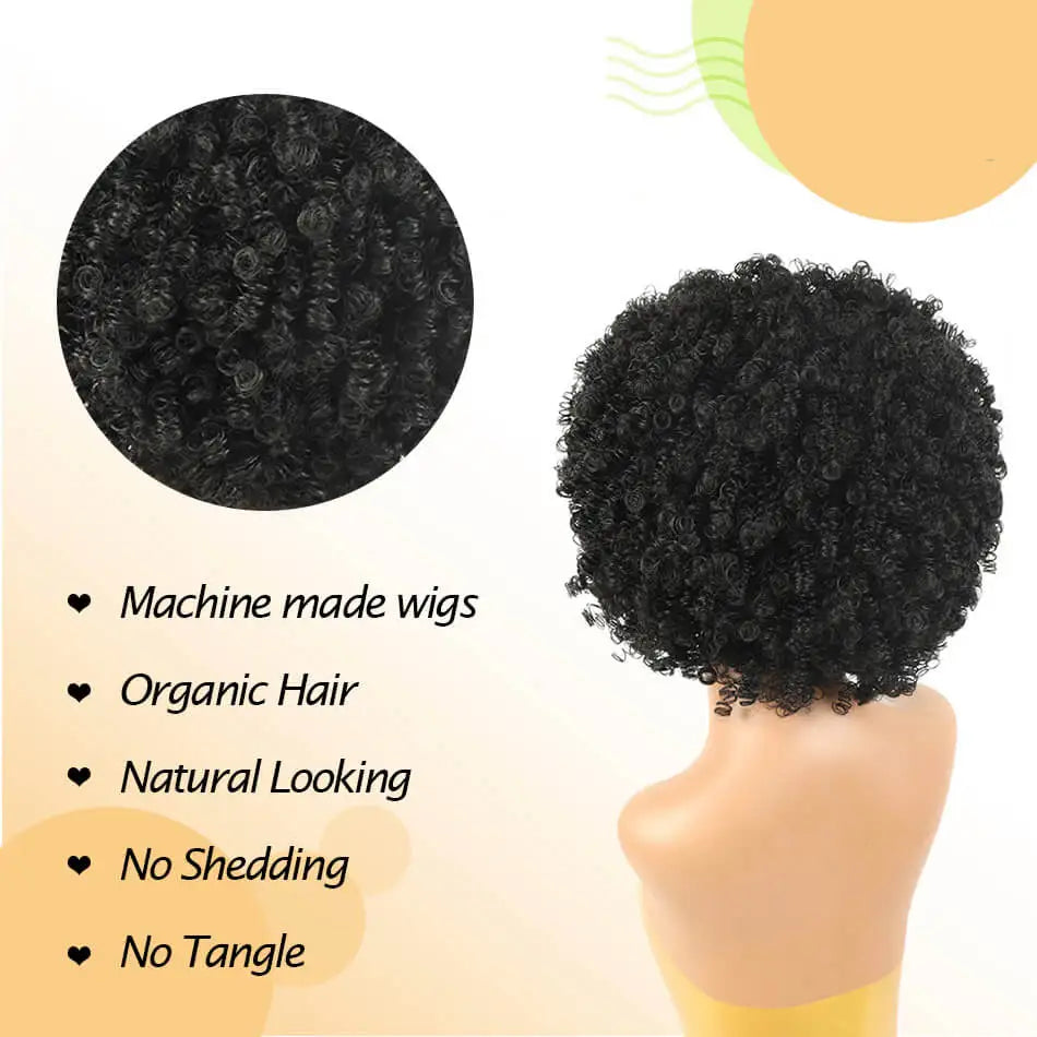 Synthetic Short Pixie Afro Kinky Curly Wigs Simple Cheap Machine Made Wigs For Women Natural Hair Styles Curly Hair For Women