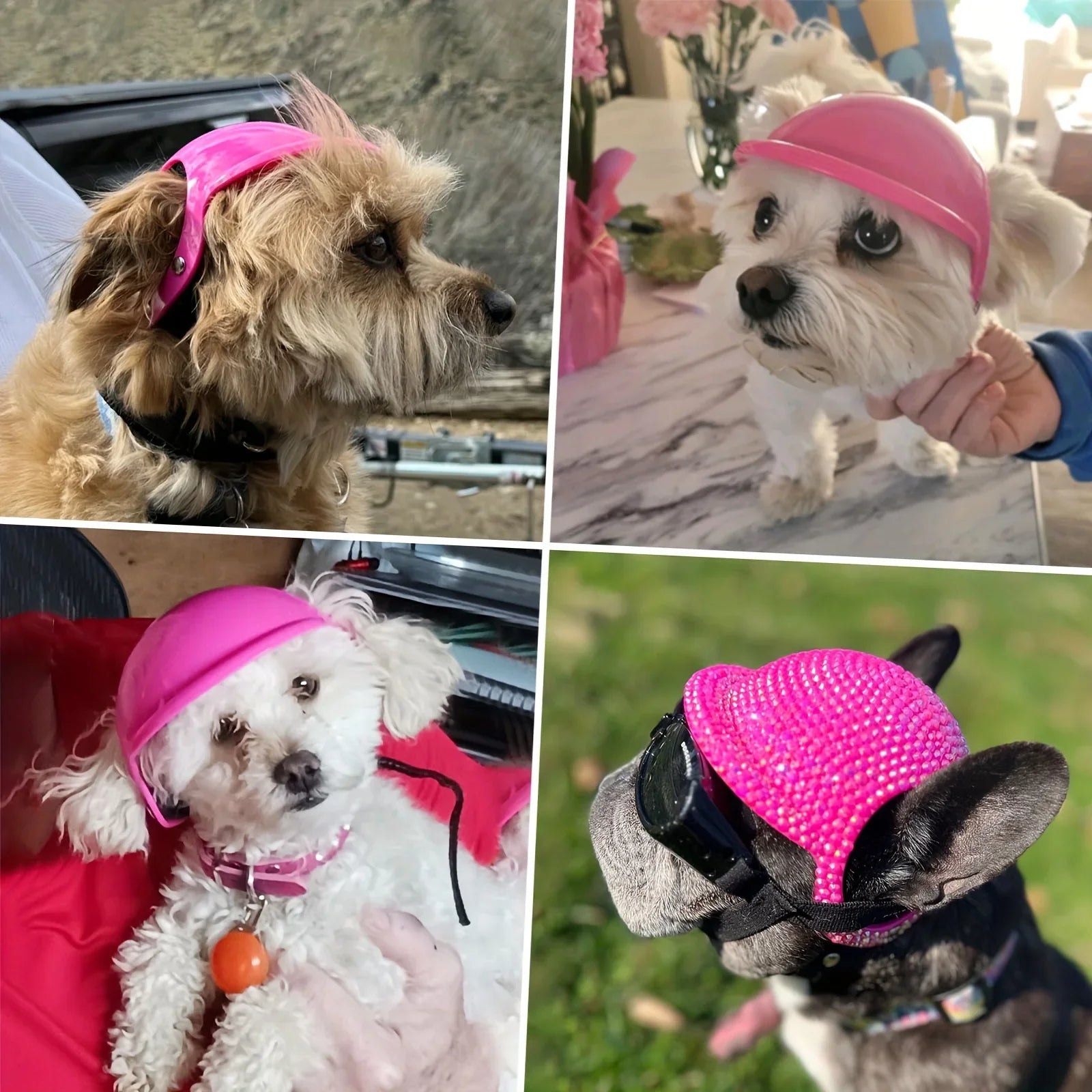 Hjelm og sett for små hunder, vindtett sikkerhetsutstyr for utendørssport og beskyttelse