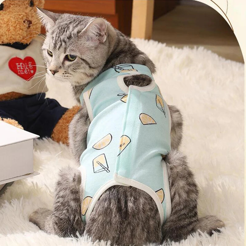 Combinaison de convalescence pour chaton, gilet anti-léchage pour animal de compagnie, vêtements de convalescence pour chirurgie, combinaison respirante pour soins pour animaux de compagnie, fournitures pour chiens