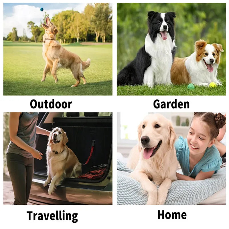 Guantes desechables para limpieza de mascotas, guantes de baño para gatos y perros, toallitas húmedas, guantes desodorizantes para el cuidado diario