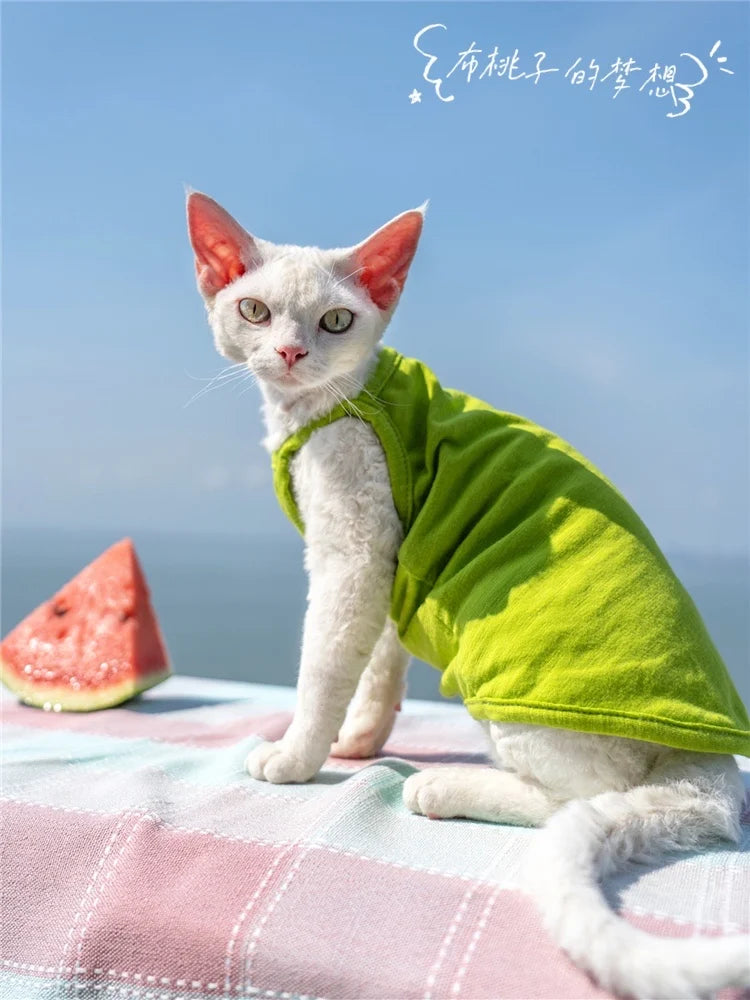 Cat Clohtes Cat Vest Multi-color Cotton Suspenders Hairless Cat Clothes Devon Air Conditioning Belly Protection Vest