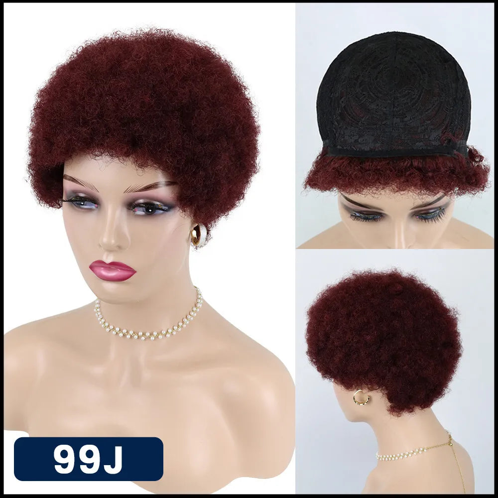 Medium Brown Afro Kinky Curly Wigs for Black Women 30# Kinky Curly Human Hair Afro Wigs African American Machine Made Pixie Wig