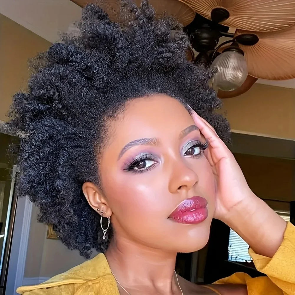 Kinky Curly Afro Wig
