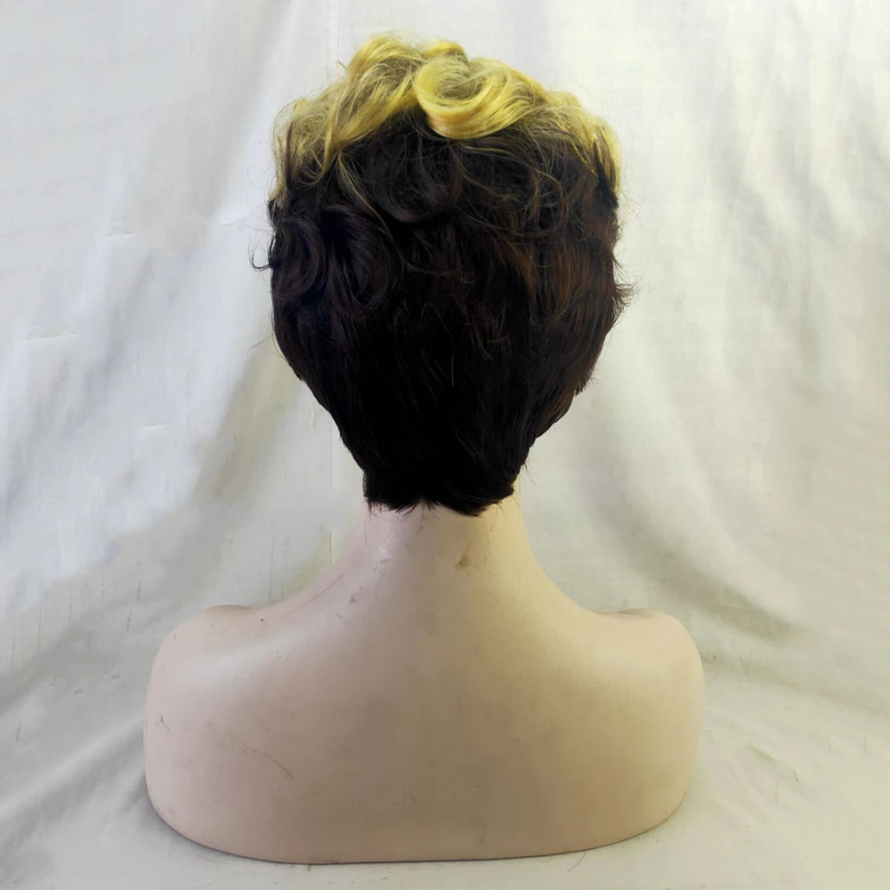HAIRJOY Synthetic Hair Women Short Curly African American Wig