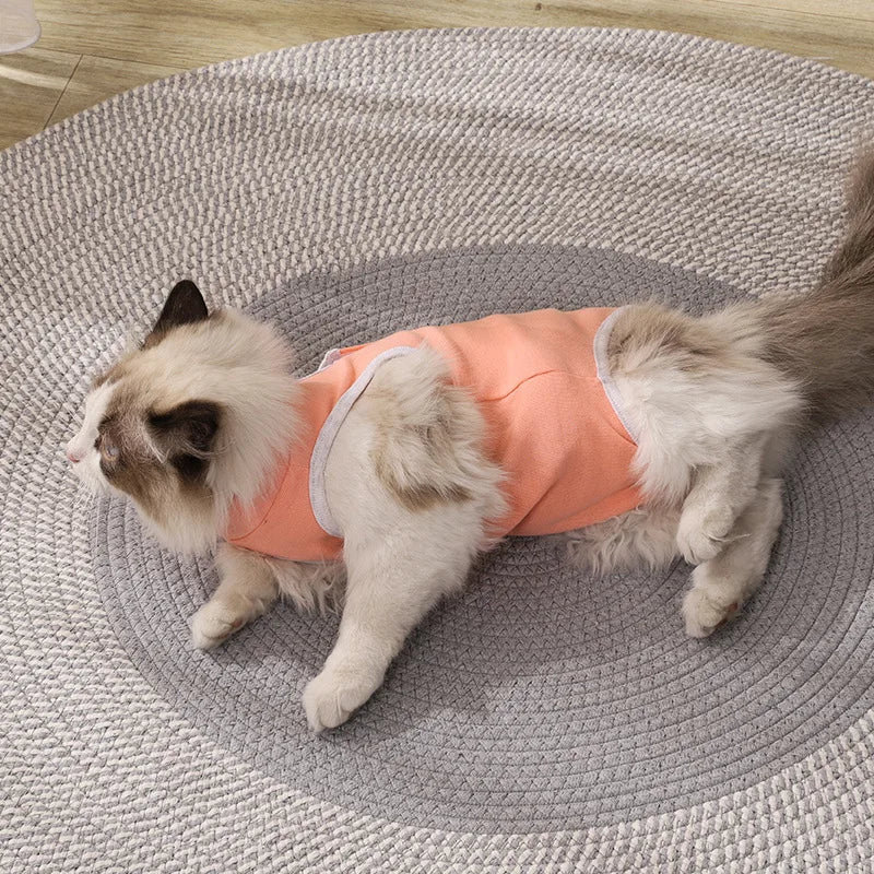 Combinaison de convalescence pour chaton, gilet anti-léchage pour animal de compagnie, vêtements de convalescence pour chirurgie, combinaison respirante pour soins pour animaux de compagnie, fournitures pour chiens