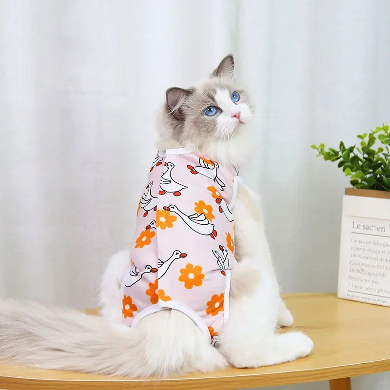 Vêtements de rééducation chirurgicale en coton pour animaux de compagnie, vêtements postopératoires pour chats, combinaison de protection pour la récupération des chats, gilet pour chaton, accessoires pour chats