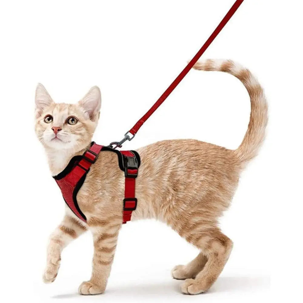 Ensemble harnais et laisse pour chat - Gilet réglable anti-fuite, doux et sécurisé pour la marche, équipement de sécurité pour animaux de compagnie facile à contrôler