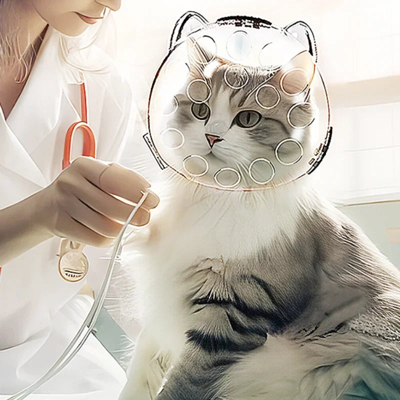Kattehodetrekk Bærbart Gjennomsiktig Forhindrer Biting og Kloring Pustende Sikker Reise Kattebæreveske Katter Kjæledyrprodukter