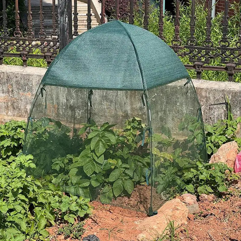 Gardening Plant Flower House Warm Room Tomato Greenhouse Wintering Plant Protection Grow Tent Plant Cover and Frame