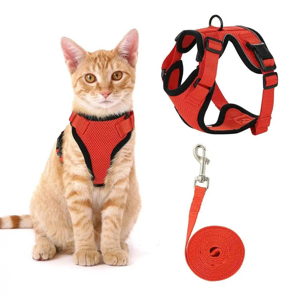 Ensemble harnais et laisse pour chat - Gilet réglable anti-fuite, doux et sécurisé pour la marche, équipement de sécurité pour animaux de compagnie facile à contrôler