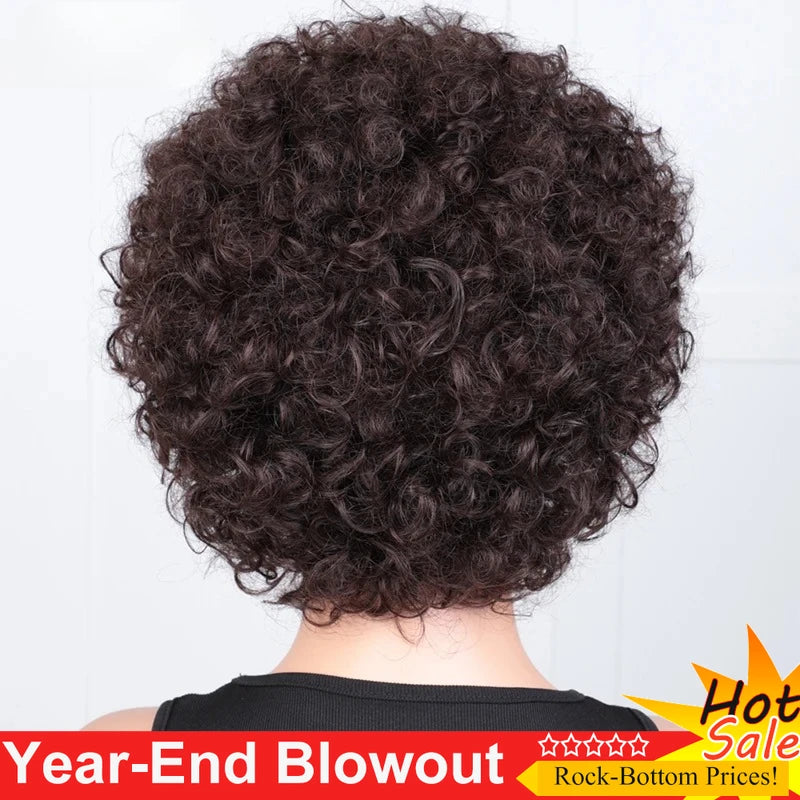 Jerry Curly Pixie Wig