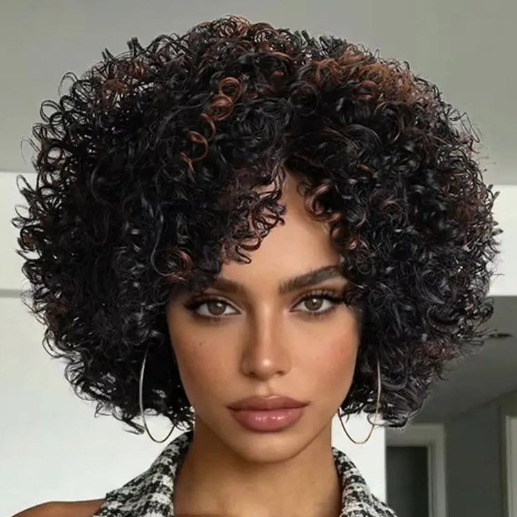 Kinky Curly Afro Wig