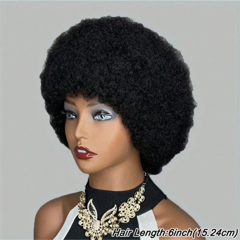 Fluffy Afro Wig