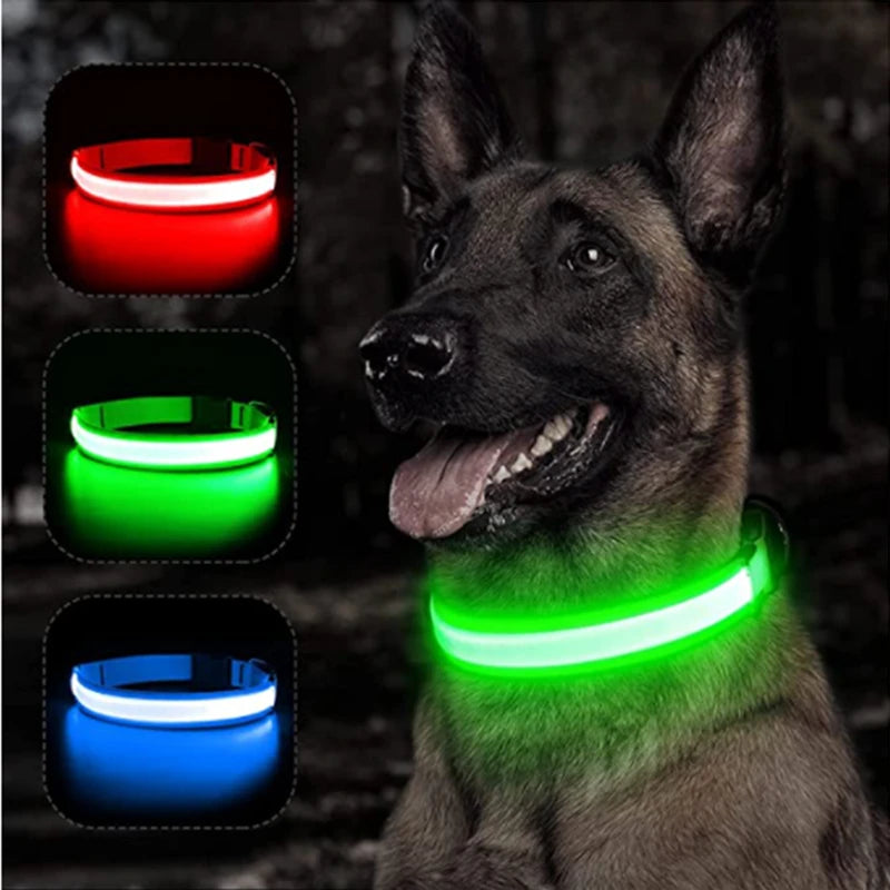 LED Glowing Pet Collar – USB Rechargeable, Adjustable & Night-Safe