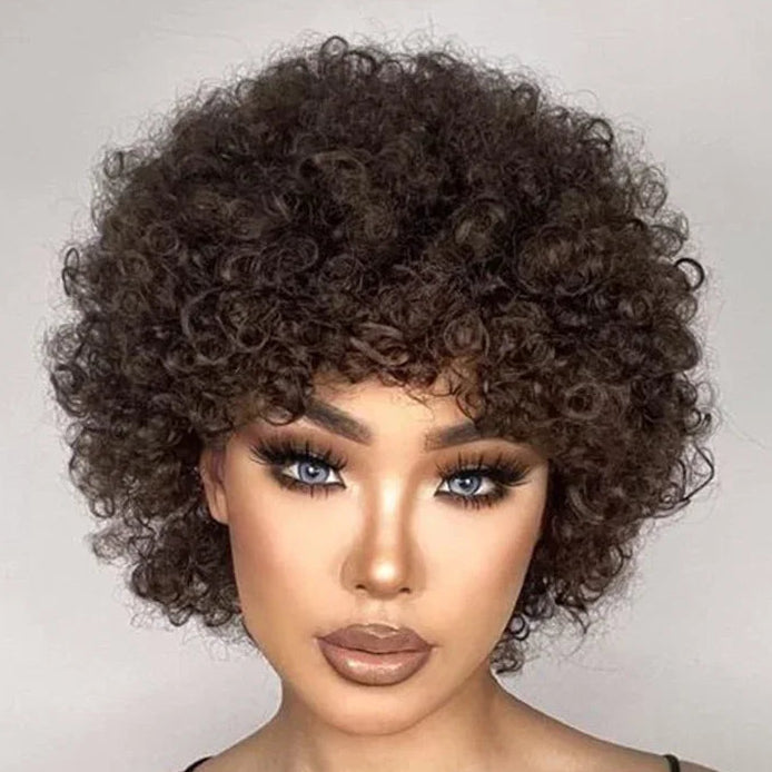 Afro Puff Pixie Bob