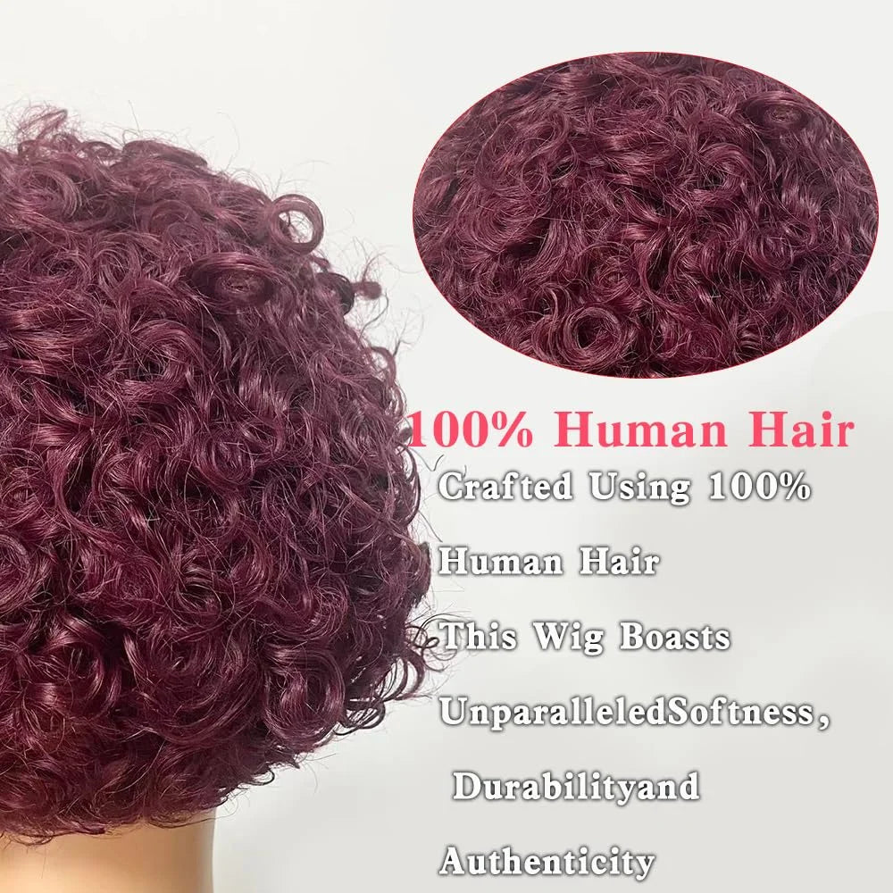 Ombre T1b/99J Short Pixie Cut Curly Human Hair Wigs 13X1 Transparent Hd Lace 1B Red Cheap Lace Wig Daily Use 100% Human Hair 150