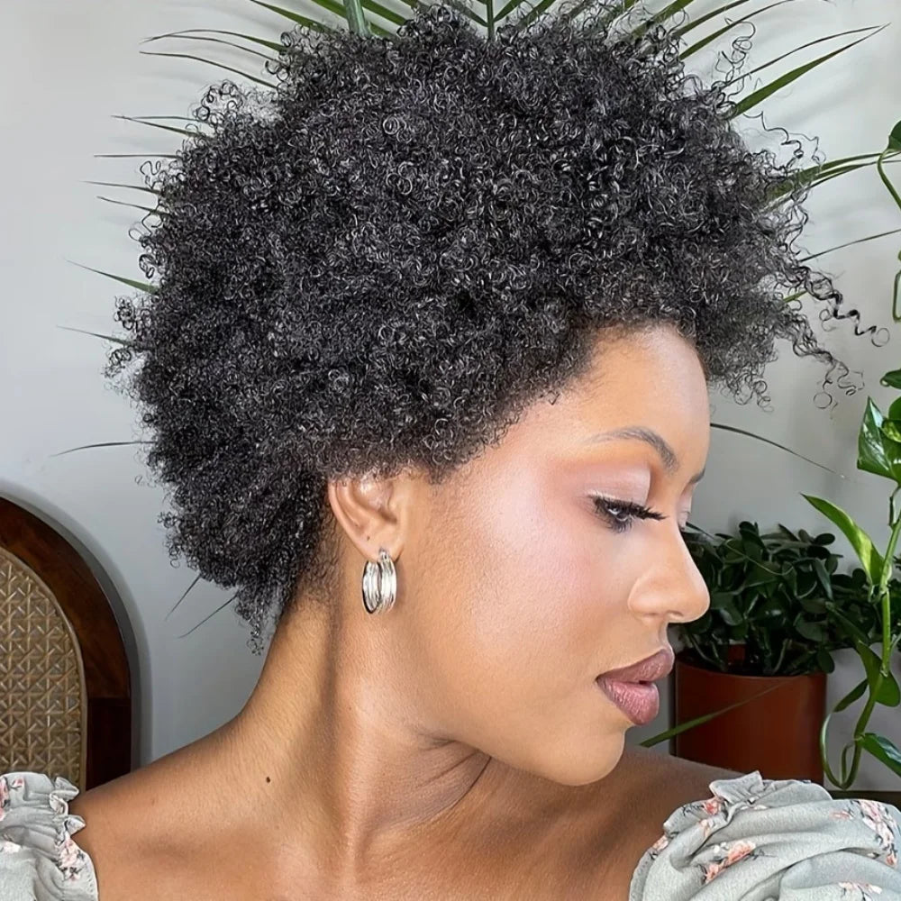 Kinky Curly Afro Wig
