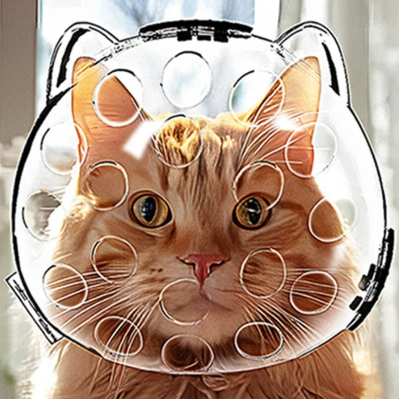 Kattehodetrekk Bærbart Gjennomsiktig Forhindrer Biting og Kloring Pustende Sikker Reise Kattebæreveske Katter Kjæledyrprodukter