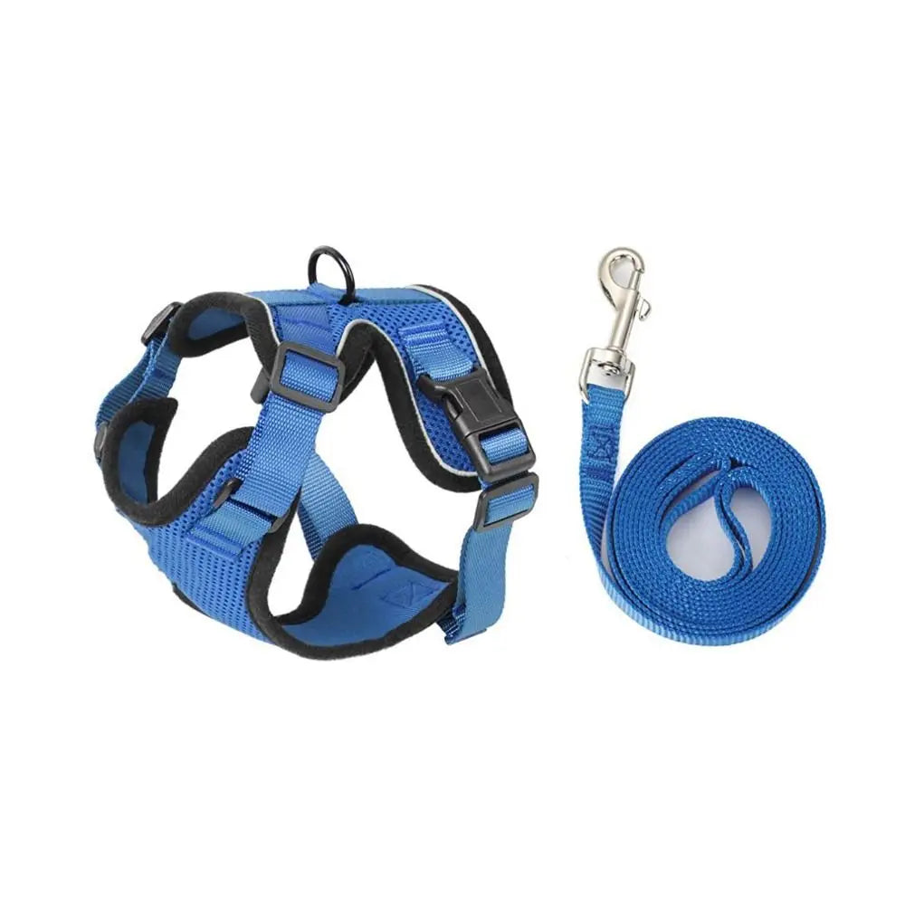 Ensemble harnais et laisse pour chat - Gilet réglable anti-fuite, doux et sécurisé pour la marche, équipement de sécurité pour animaux de compagnie facile à contrôler