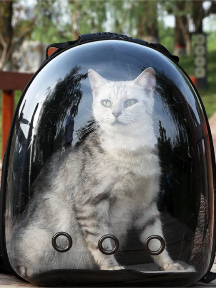 Le fabricant fournit directement des sacs pour chats, des sacs à dos pour animaux de compagnie, des capsules spatiales portables et transparentes, des fournitures pour chats, des sacs à dos respirants