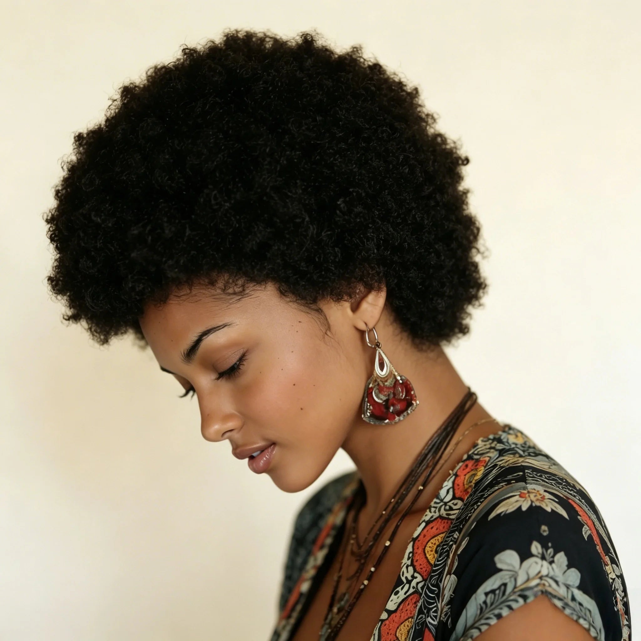 Afro Curly Human Hair Wig