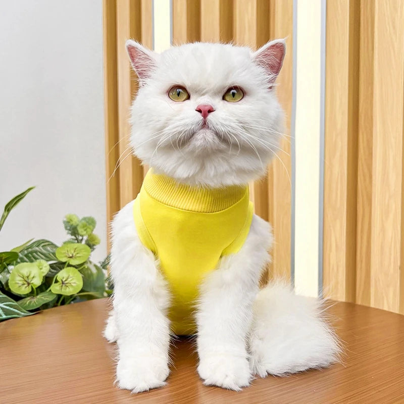 Combinaison de sevrage pour chat, vêtements de récupération anti-léchage après chirurgie, combinaison douce pour chiot et chaton, combinaison de soins pour chat, gilet pour animaux de compagnie