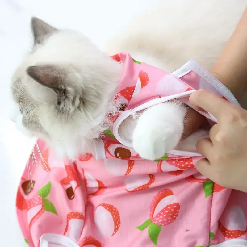 Vêtements de sevrage et de stérilisation pour chats de compagnie, gilet anti-léchage pour petits chiens et chatons, vêtements de récupération après chirurgie féline pour plaies ou maladies cutanées