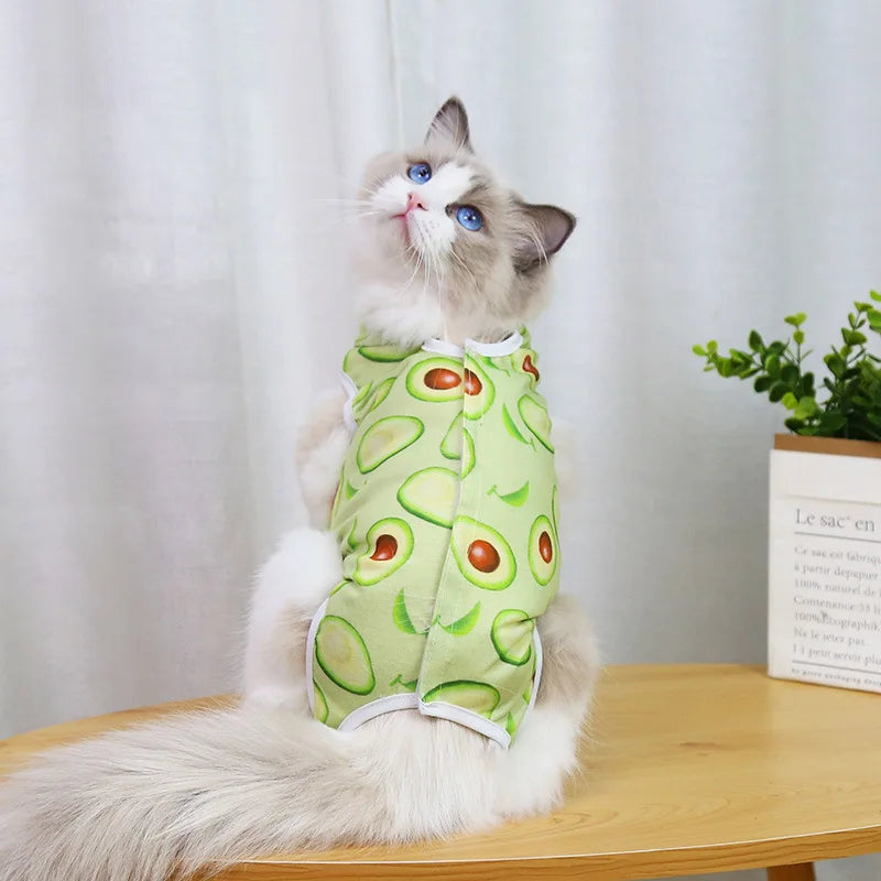 Vêtements de rééducation chirurgicale en coton pour animaux de compagnie, vêtements postopératoires pour chats, combinaison de protection pour la récupération des chats, gilet pour chaton, accessoires pour chats