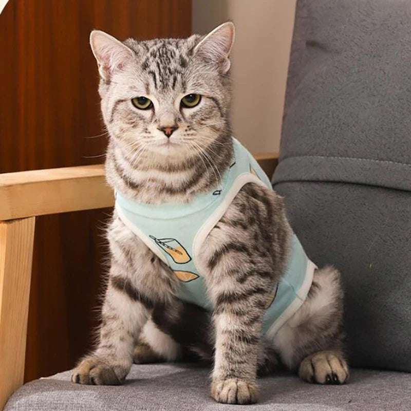 Combinaison de convalescence pour chaton, gilet anti-léchage pour animal de compagnie, vêtements de convalescence pour chirurgie, combinaison respirante pour soins pour animaux de compagnie, fournitures pour chiens